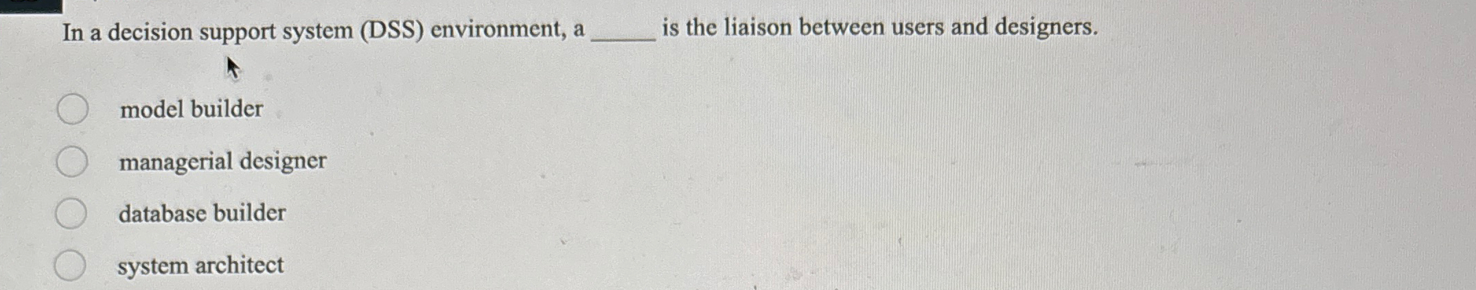  In a decision support system (DSS) environment, a is the liaison