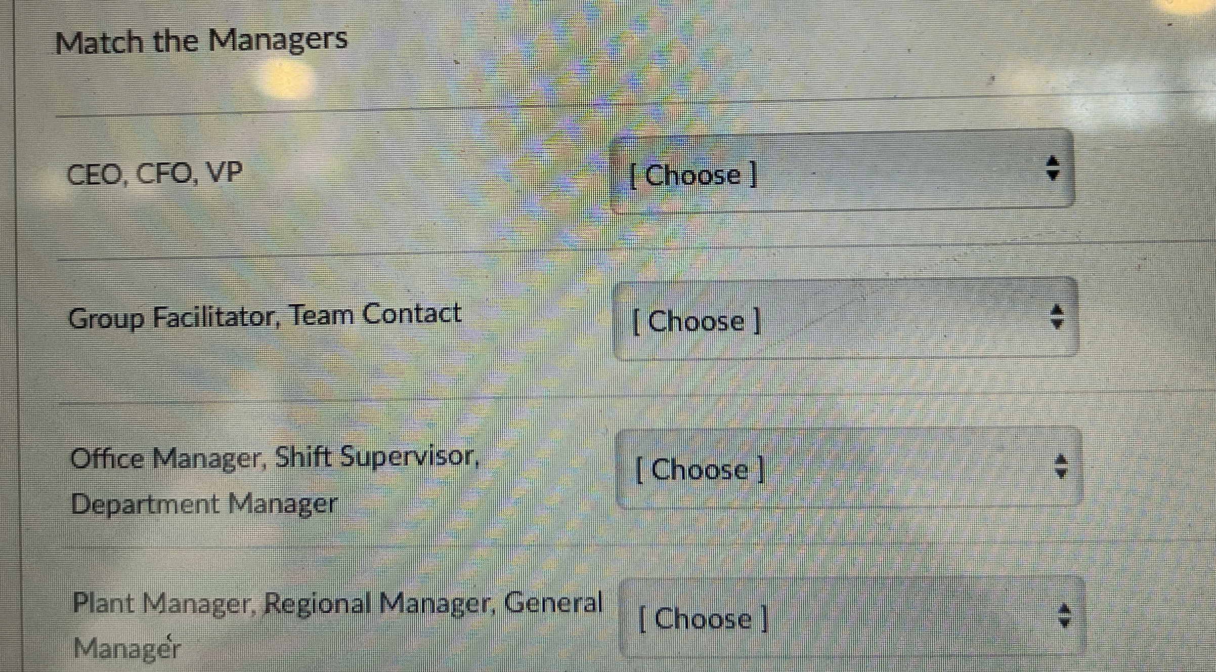  Match the Managers CEO, CFO, VP [Choose] Group Facilitator, Team Contact