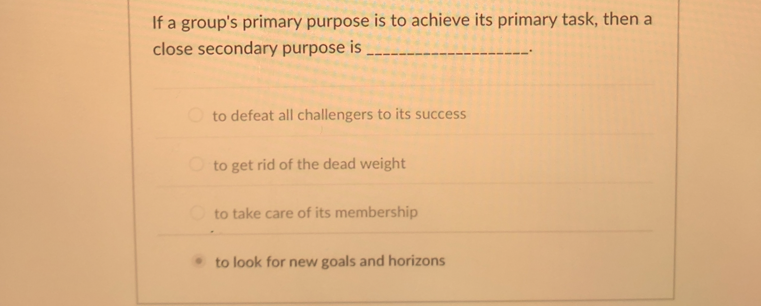  If a group's primary purpose is to achieve its primary task,