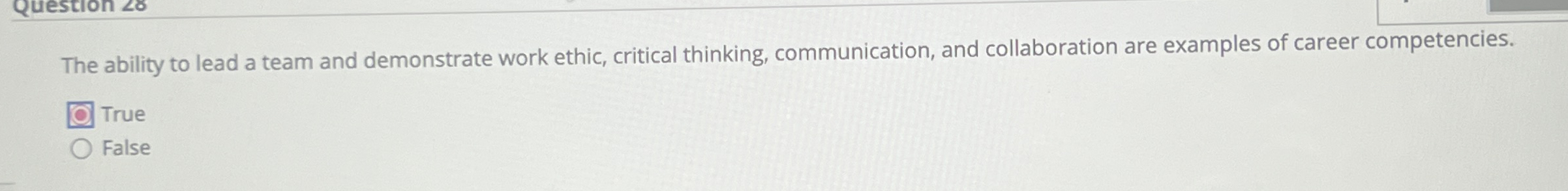  The ability to lead a team and demonstrate work ethic, critical