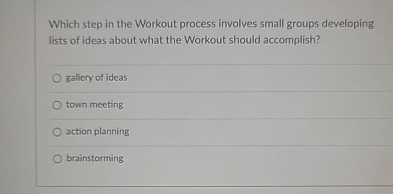  Which step in the Workout process involves small groups developing lists