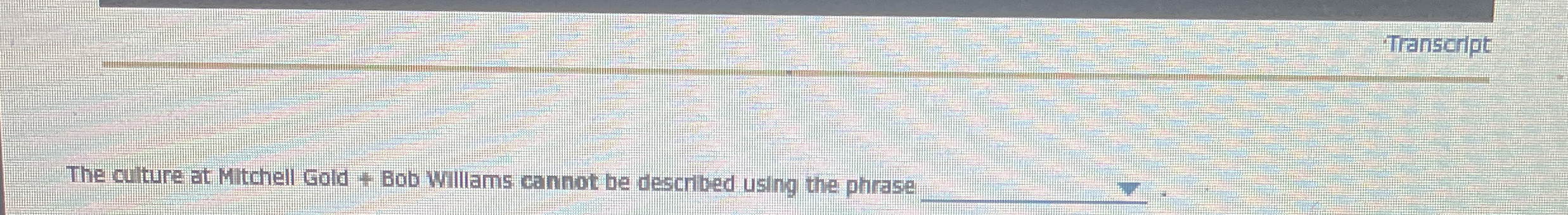  Transcript The culture at Mitchell Gold 4 Bob Willams cannot be