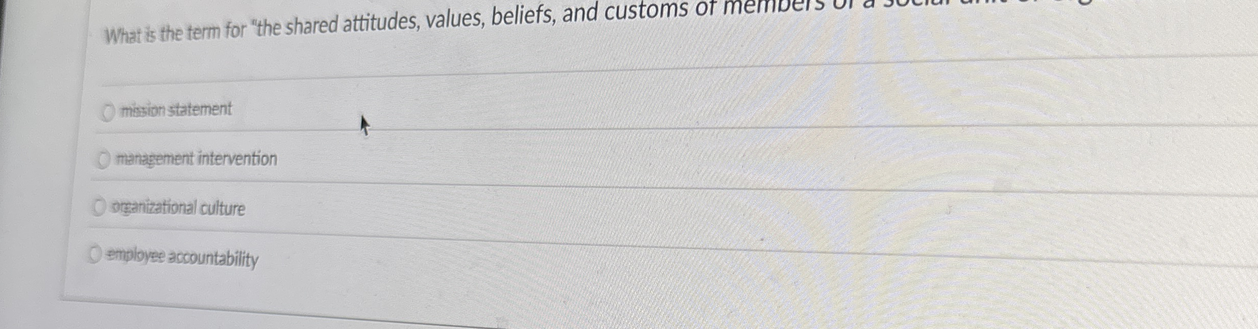  What is the term for "the shared attitudes, values, beliefs, and