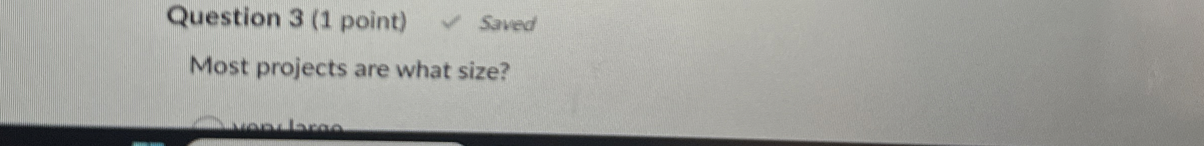  Question 3(1 point) Most projects are what size? 