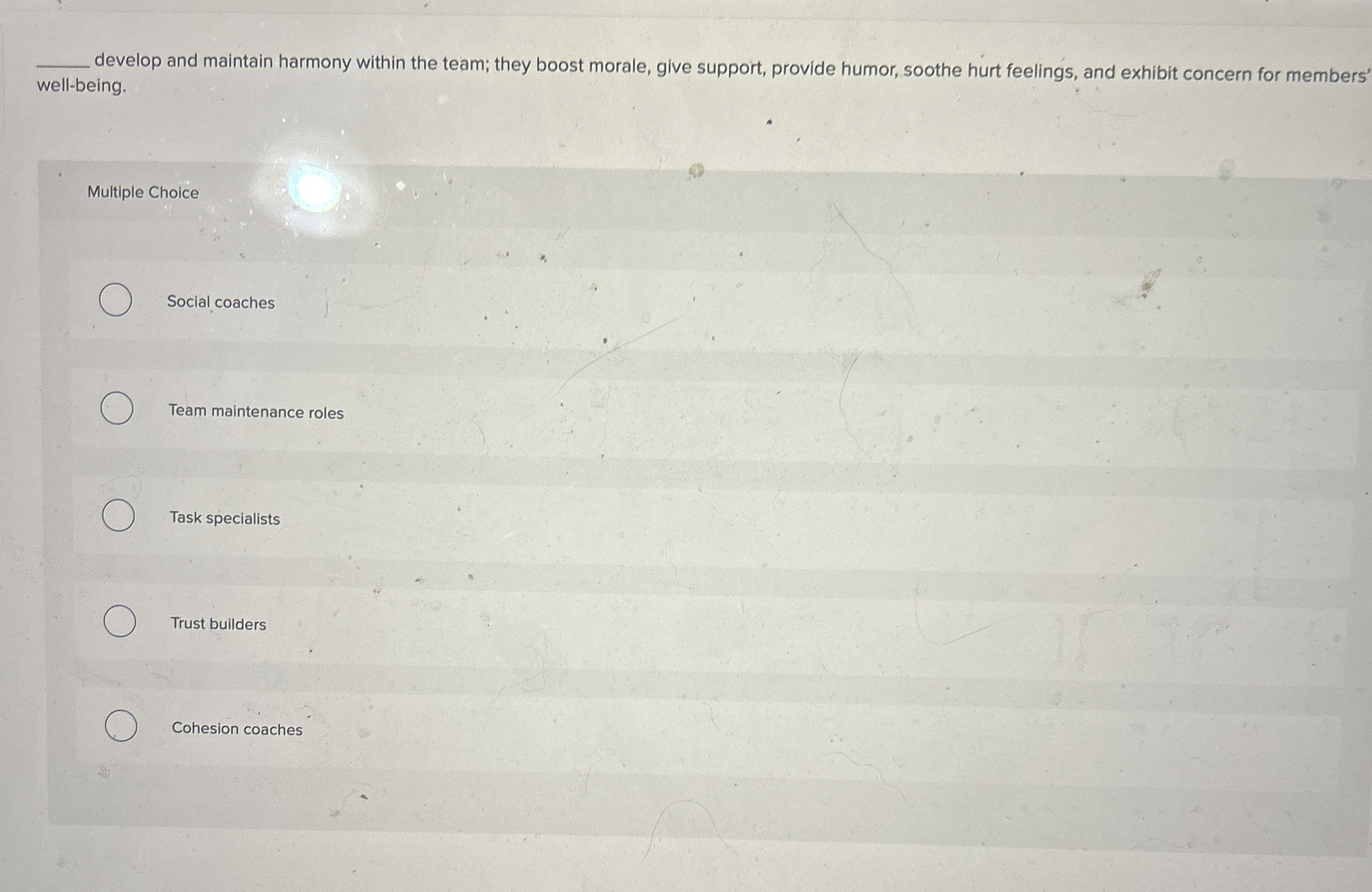  develop and maintain harmony within the team; they boost morale, give