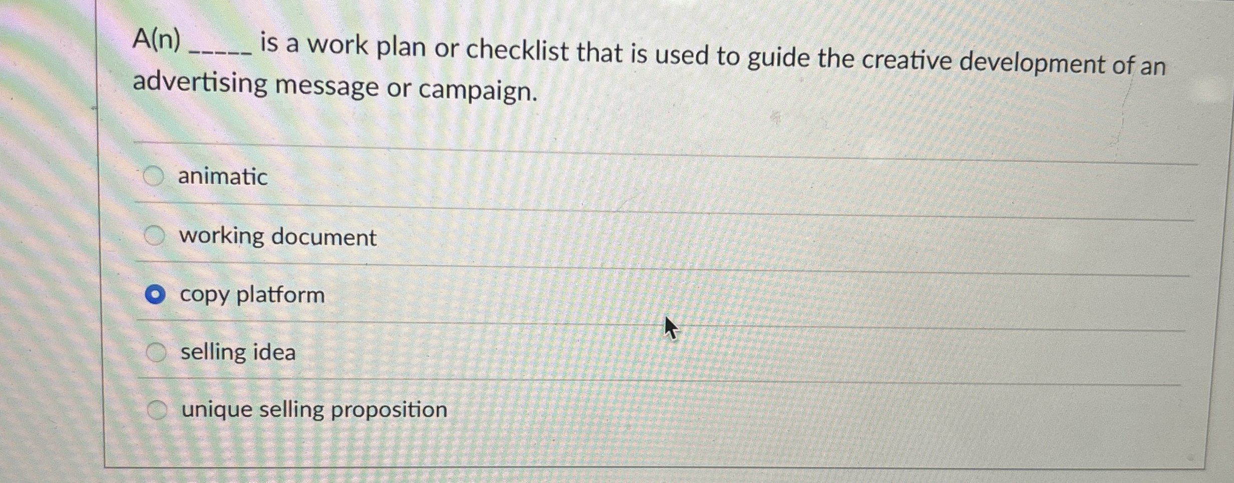  A(n) is a work plan or checklist that is used to
