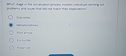  Which stage in the socialization process involves individuals working out problems