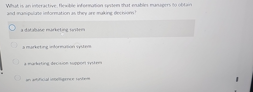  What is an interactive, flexible information system that enables managers to