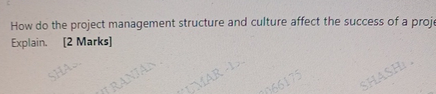  How do the project management structure and culture affect the success