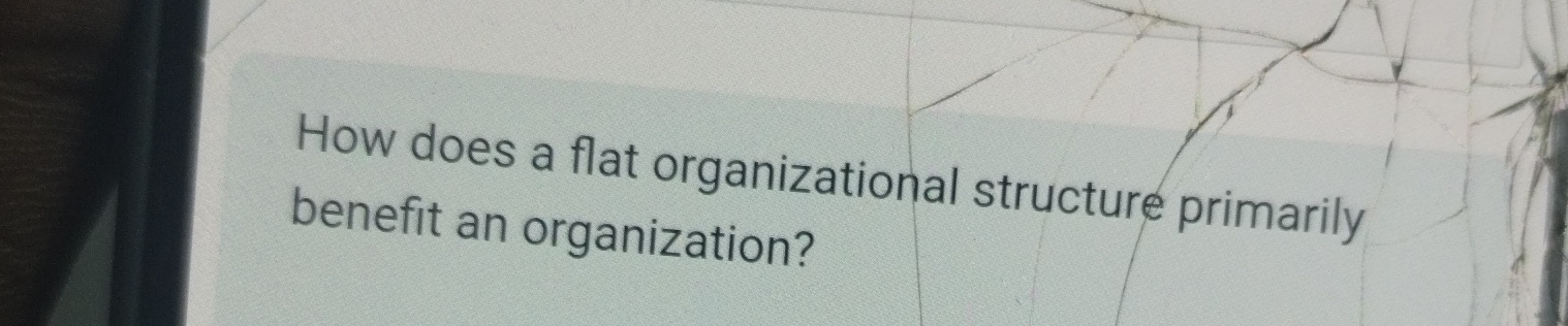  How does a flat organizational structure primarily benefit an organization? 