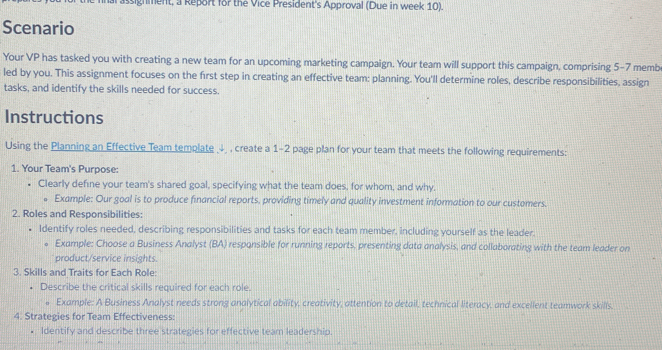  Scenario Your VP has tasked you with creating a new team