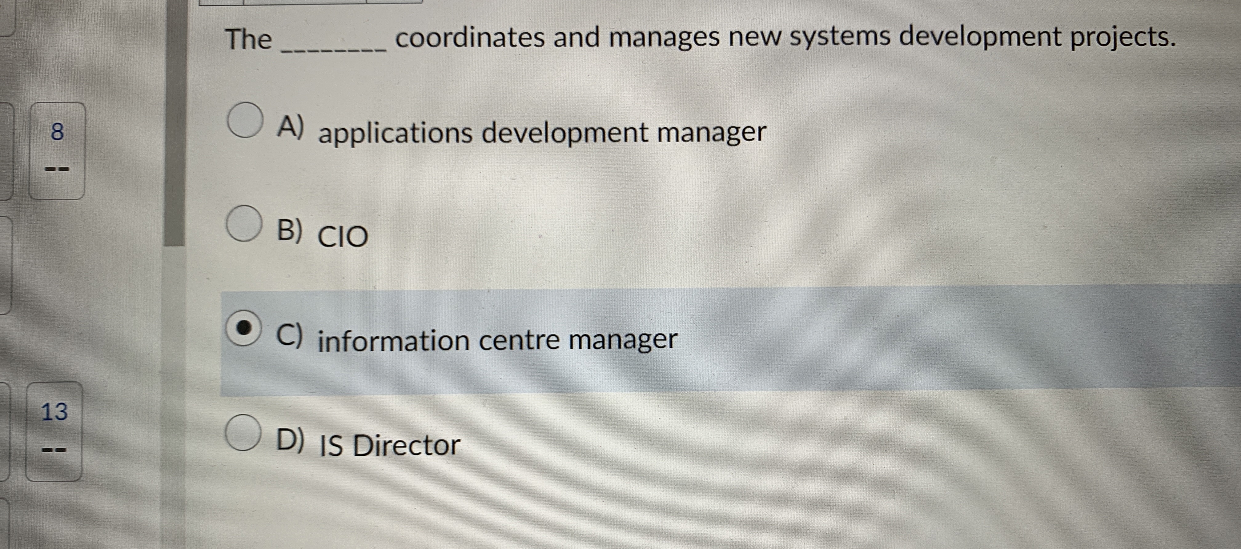  The q, coordinates and manages new systems development projects. 8 A)