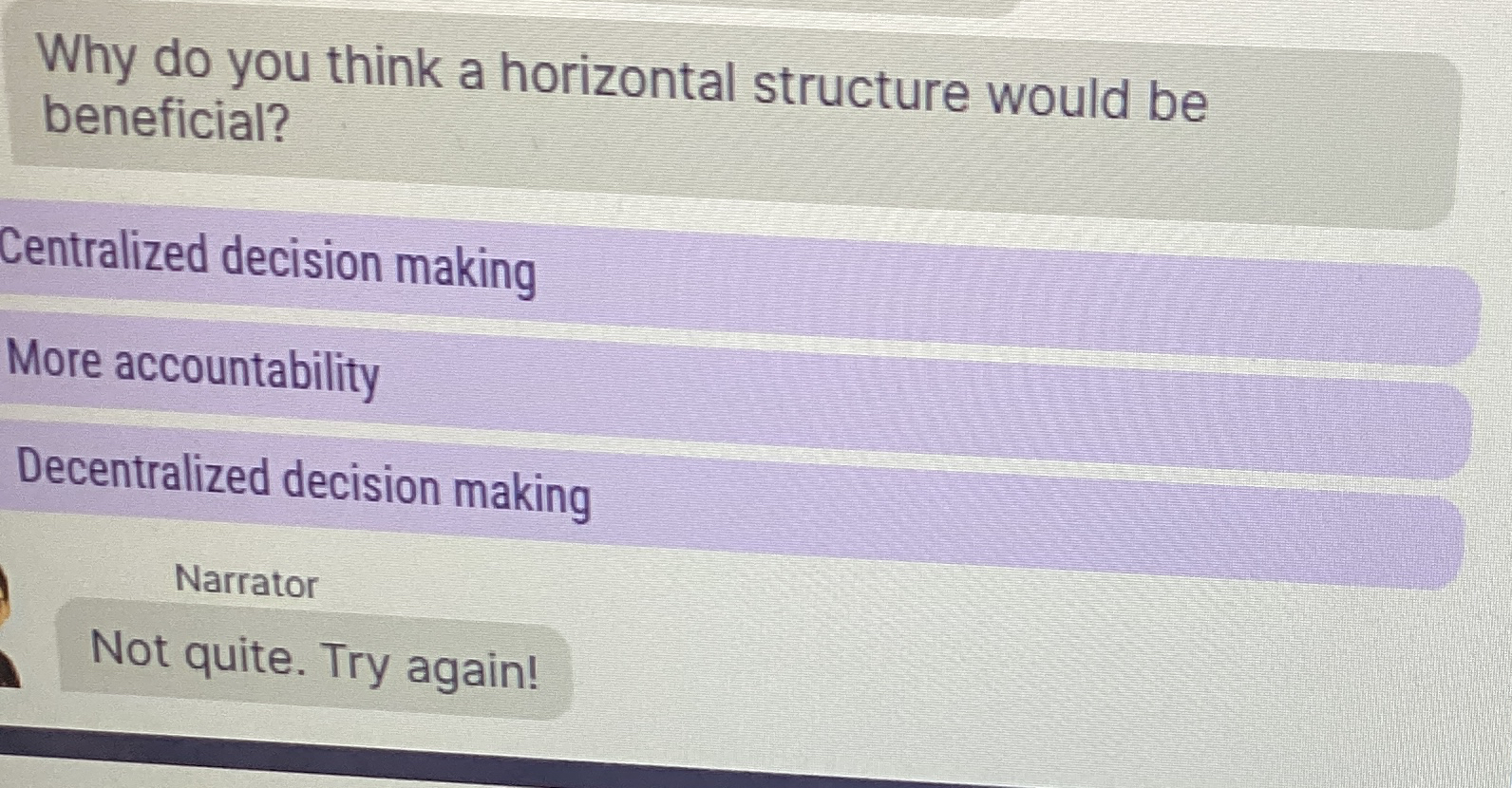  Why do you think a horizontal structure would be beneficial? Centralized