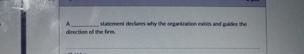  A statement declares why the organization exists and guides the direction