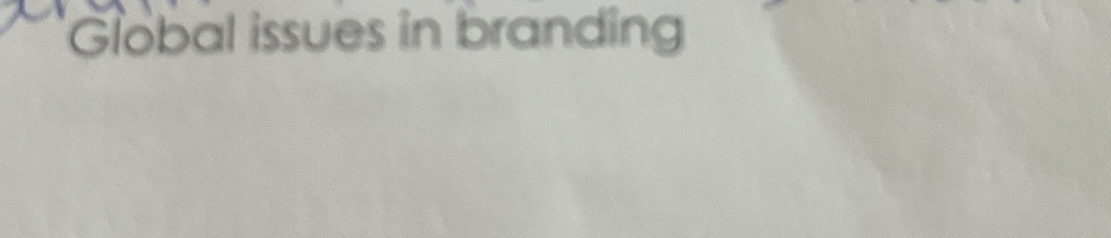  Global issues in branding 