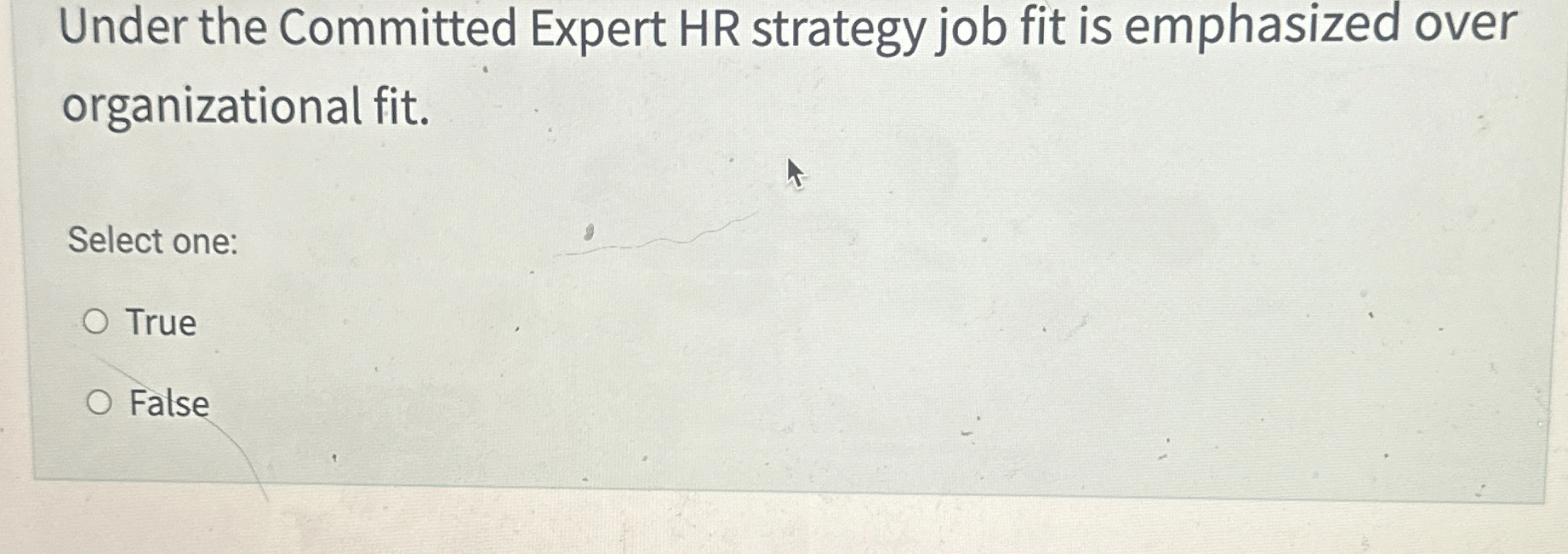  Under the Committed Expert HR strategy job fit is emphasized over