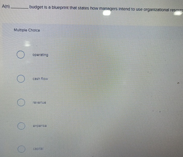  A(n)q, budget is a blueprint that states how managers intend to