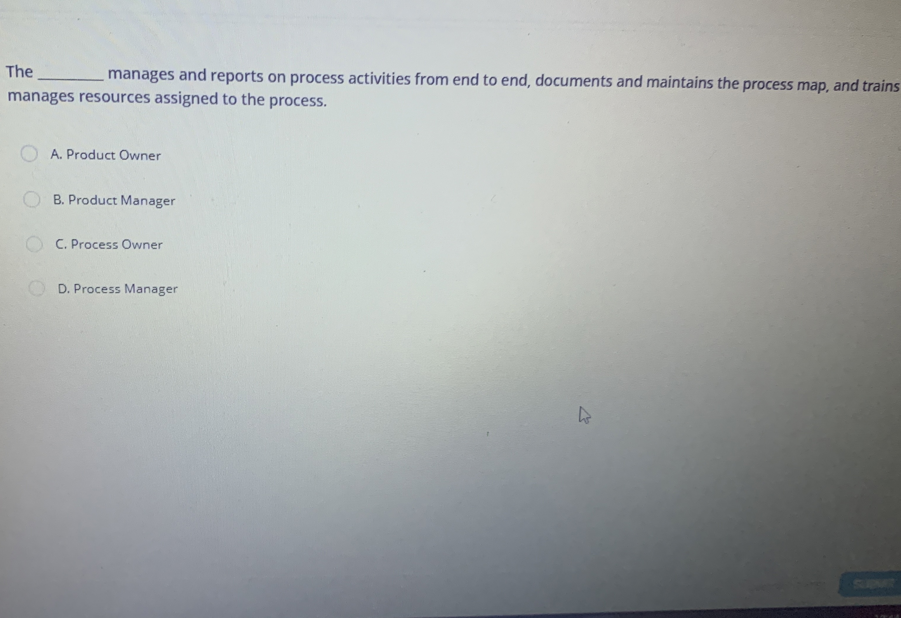  The q, manages and reports on process activities from end to