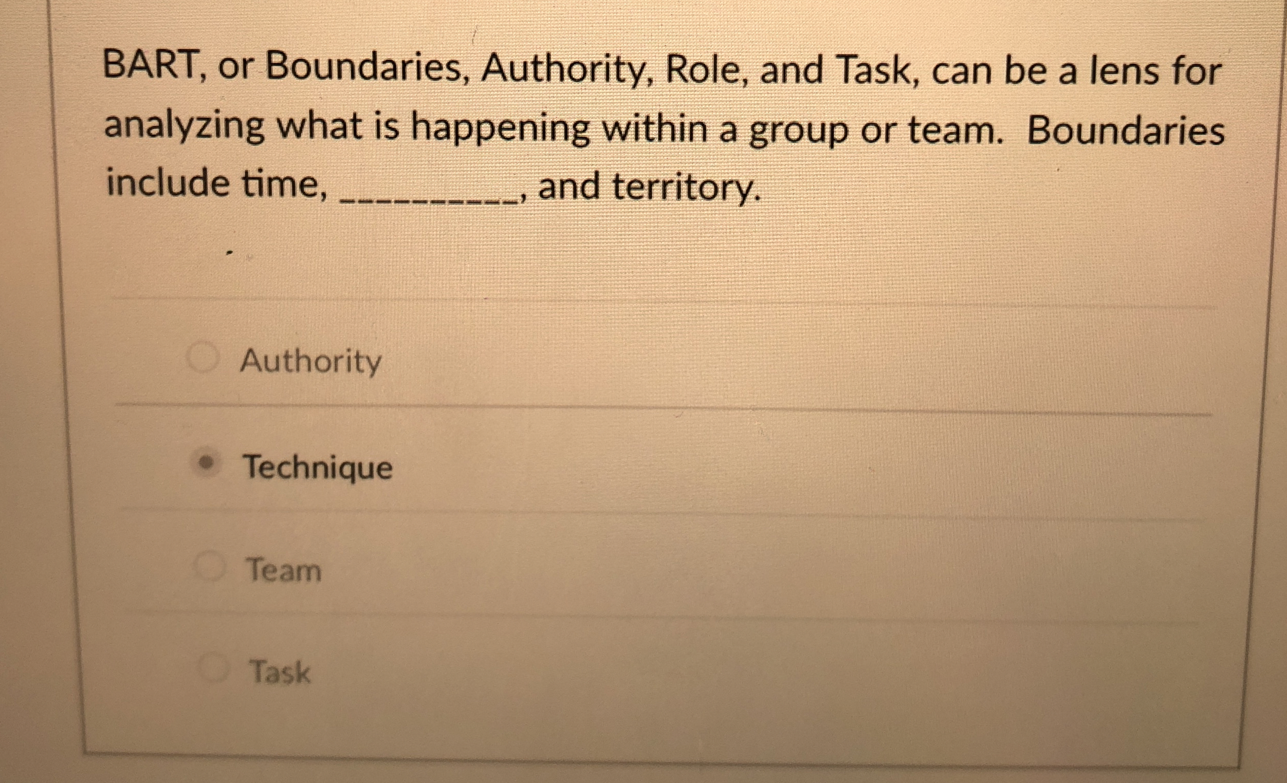  BART, or Boundaries, Authority, Role, and Task, can be a lens