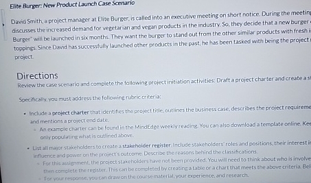  Elite Burger. New Product Launch Case Scenario David Smith, a project