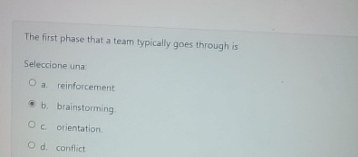  The first phase that a team typically goes through is Seleccione