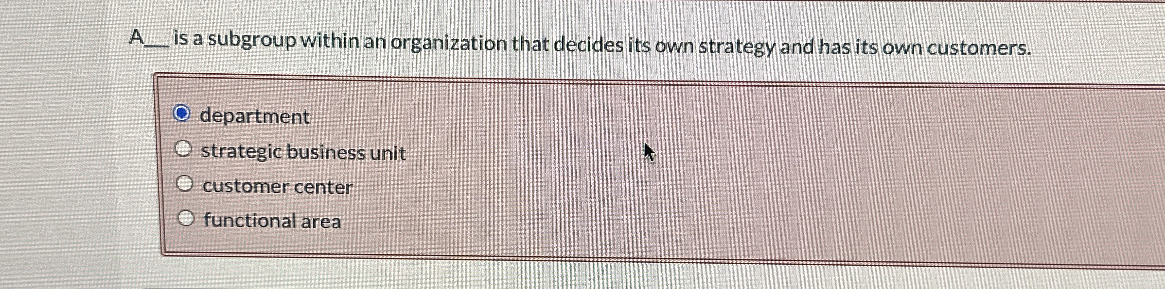  A__is a subgroup within an organization that decides its own strategy