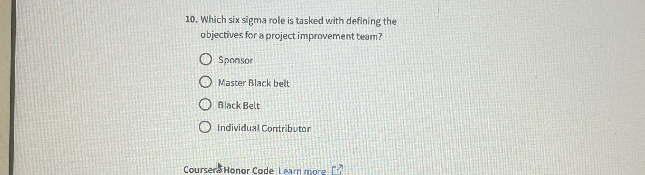  Which six sigma role is tasked with defining the objectives for