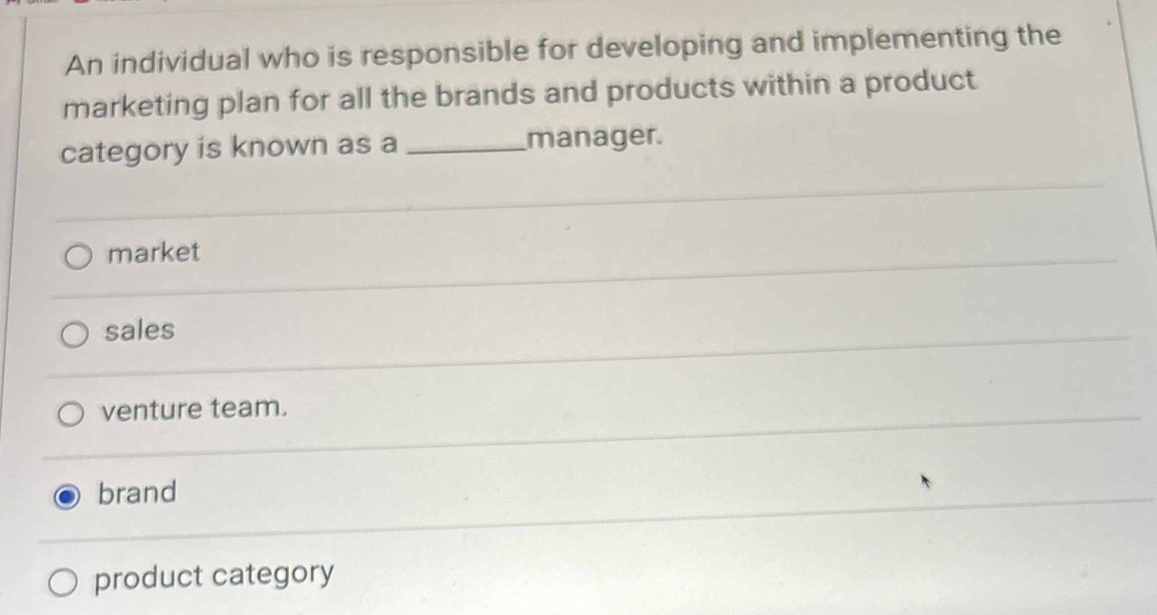  An individual who is responsible for developing and implementing the marketing