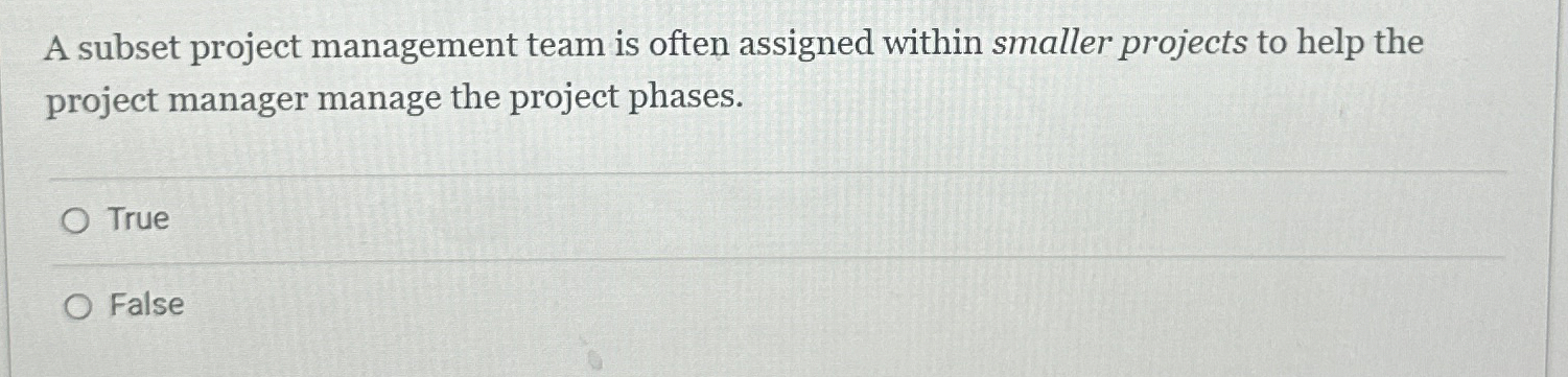  A subset project management team is often assigned within smaller projects