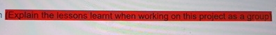  Explain the lessons leamt when working on this project as a