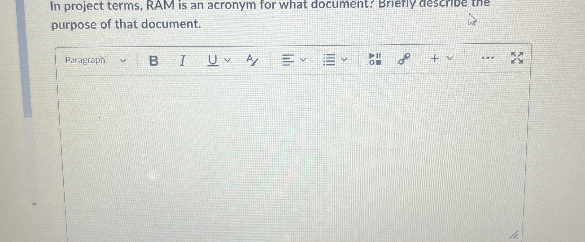  In project terms, RAM is an acronym for what document? Brietly
