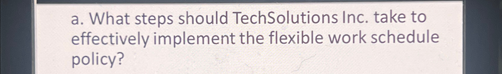  a. What steps should TechSolutions Inc. take to effectively implement the
