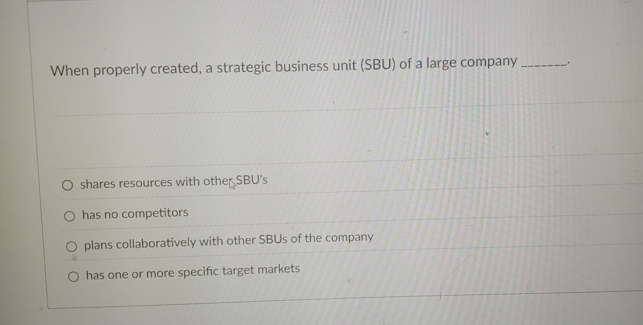  When properly created, a strategic business unit (SBU) of a large