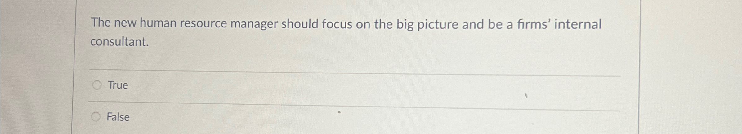  The new human resource manager should focus on the big picture