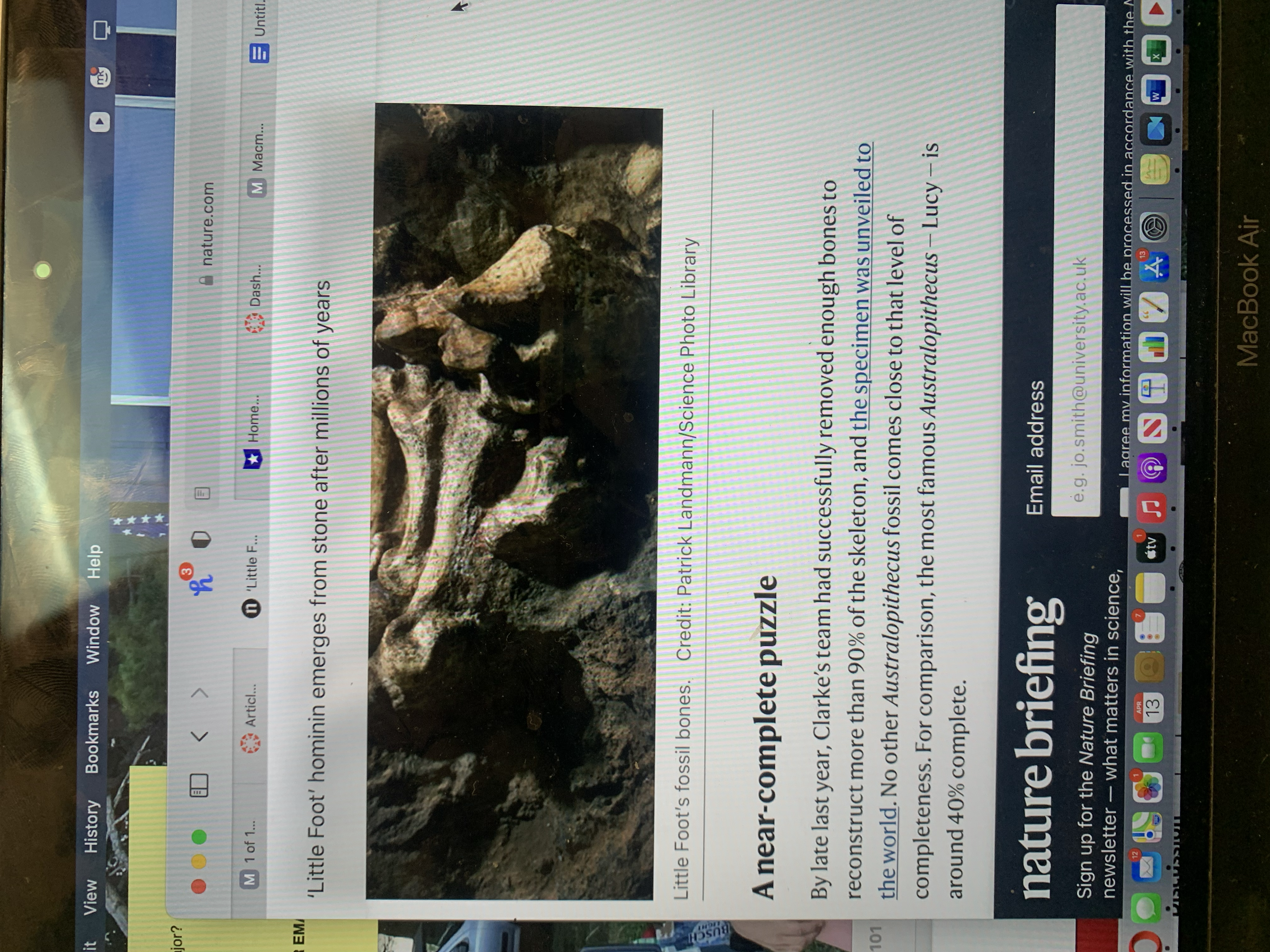 of the specimens, the other on the limbs and locomotion'. On 4