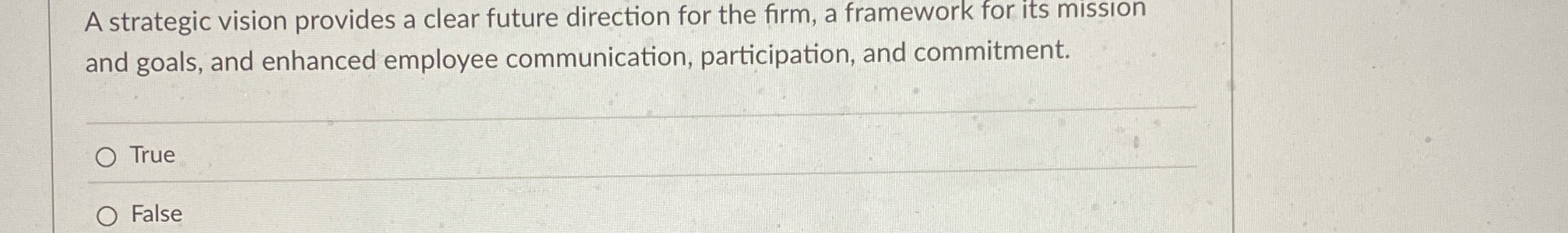  A strategic vision provides a clear future direction for the firm,