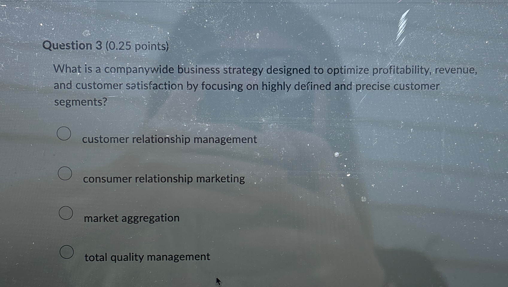  Question 3(0.25 points) What is a companywide business strategy designed to