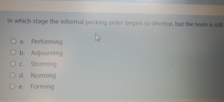  In which stage the informal pecking order begins to develop, but