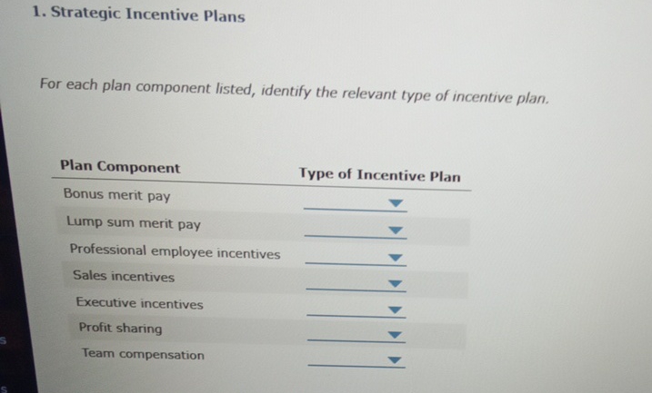  Strategic Incentive Plans For each plan component listed, identify the relevant