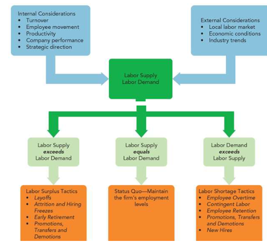  Objective: To perform a workforce planning activity. Instructions: 1. Use the