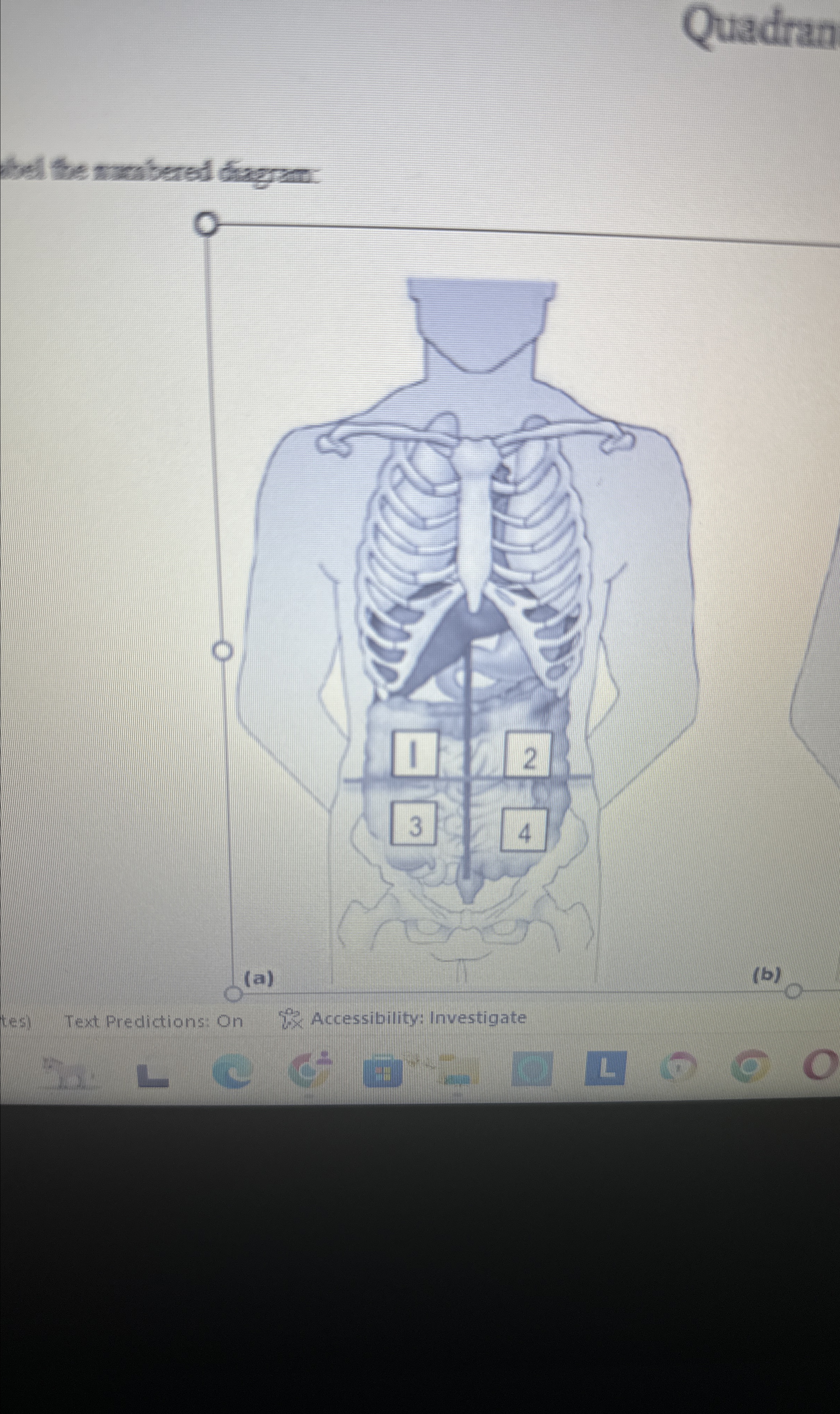  Wel the mambered dagran: 