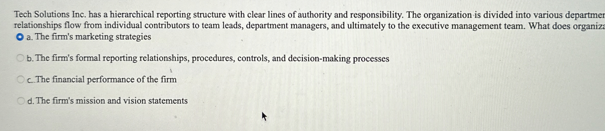  Tech Solutions Inc. has a hierarchical reporting structure with clear lines