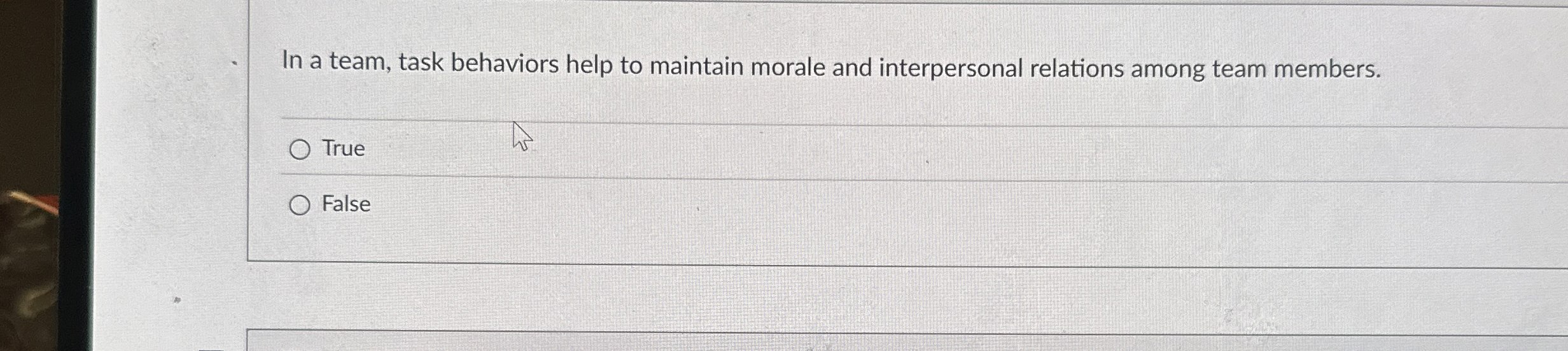  In a team, task behaviors help to maintain morale and interpersonal