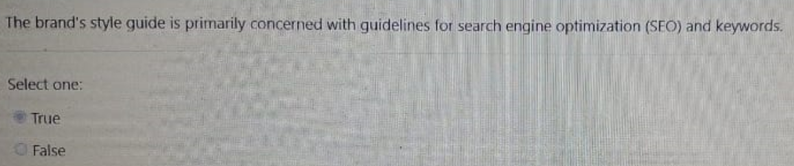  The brand's style guide is primarily concerned with guidelines for search