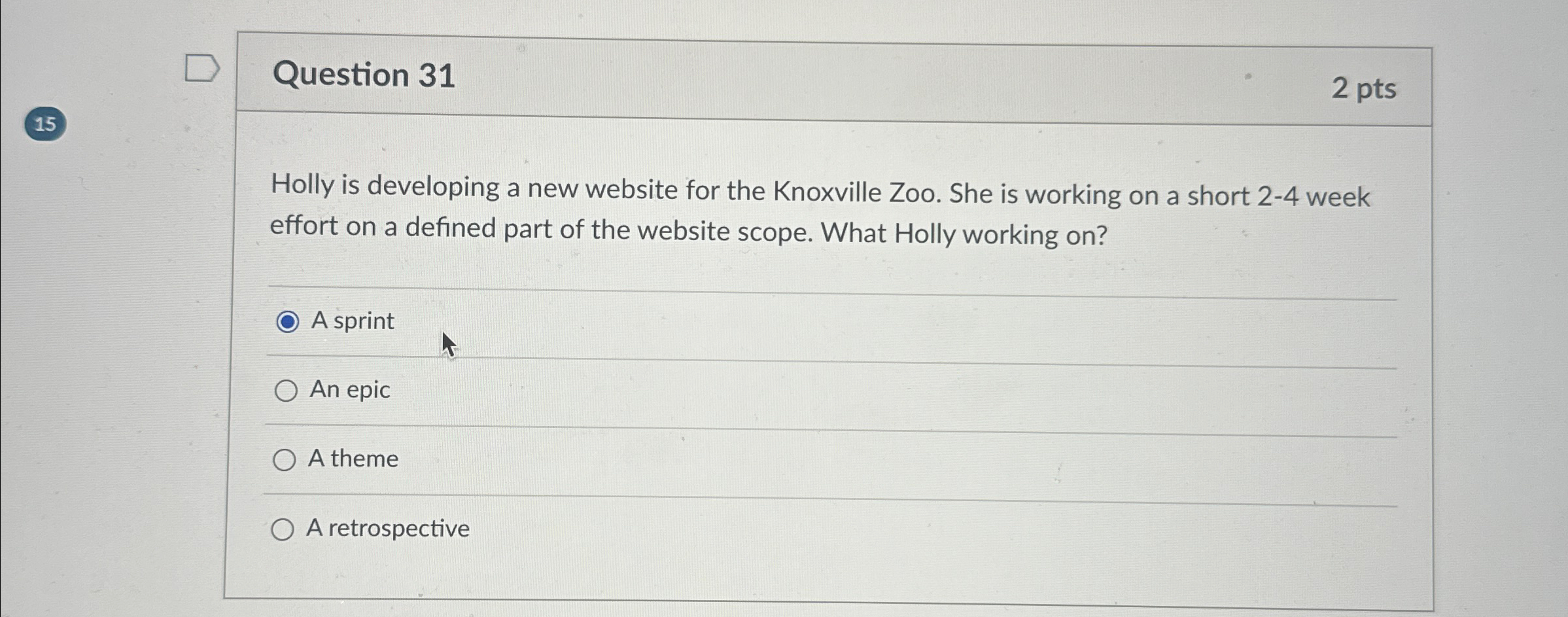  Question 31 2 pts Holly is developing a new website for