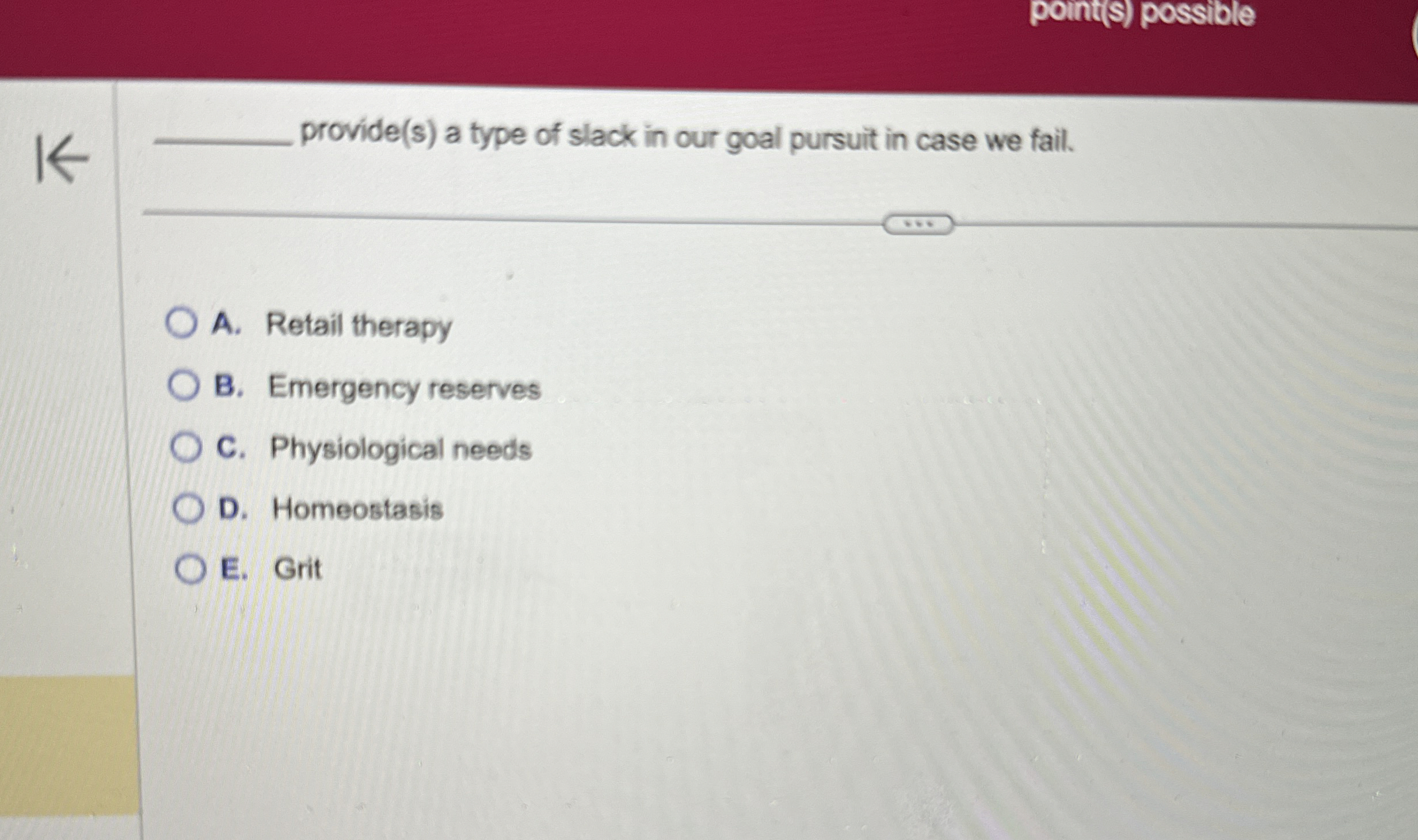  point(s) possible provide(s) a type of slack in our goal pursuit