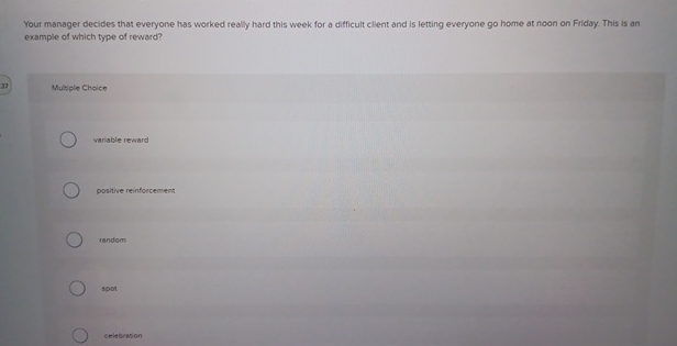  Your manager decides that everyone has worked really hard this week