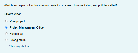  What is an organization that controls project managers, documentation, and policies