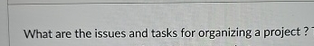  What are the issues and tasks for organizing a project? 