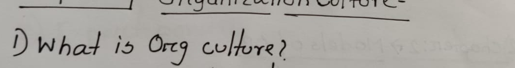  What is Org culture? 